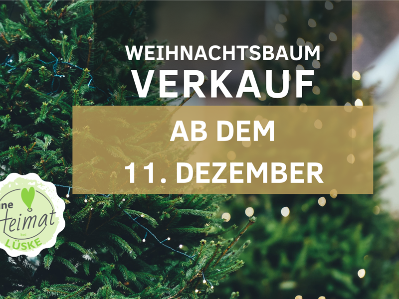 Weihnachtsbaum Verkauf