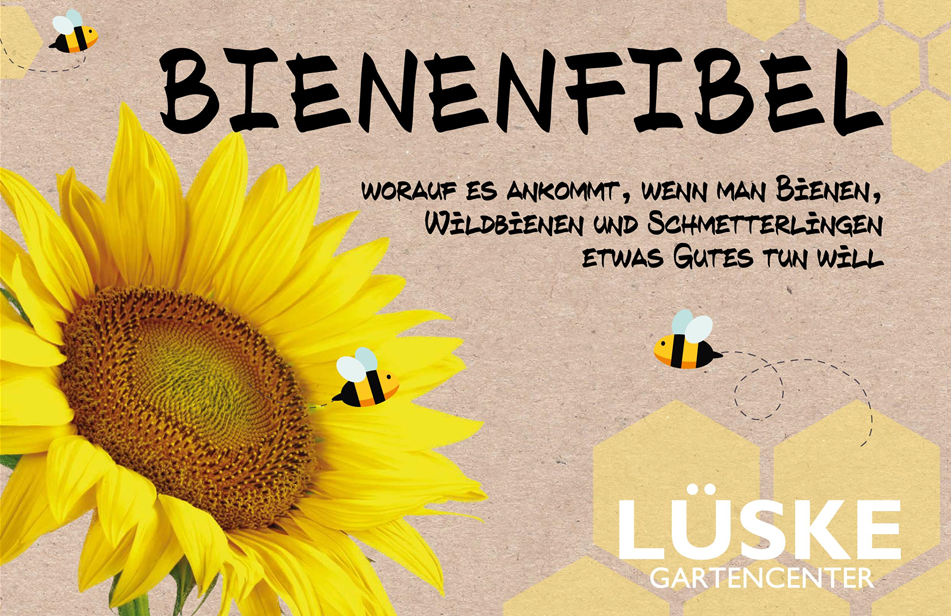 Bienenfiebel